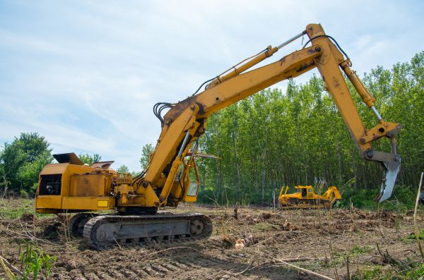 Farm Clearing in Mechanicsburg