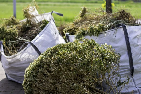 Bushes Clearing in Mechanicsburg