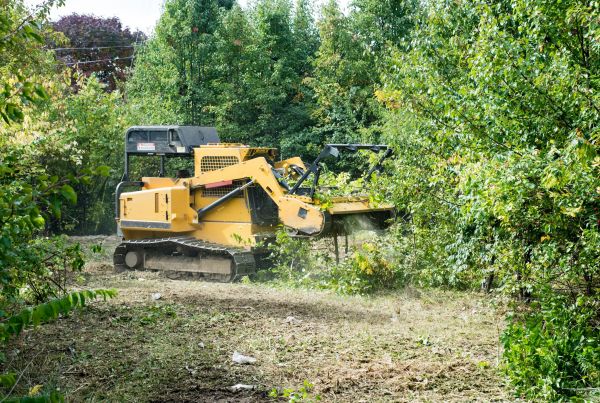 Pathway Clearing in Mechanicsburg