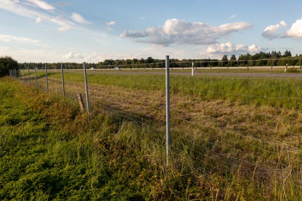 Property Line Clearing in Mechanicsburg