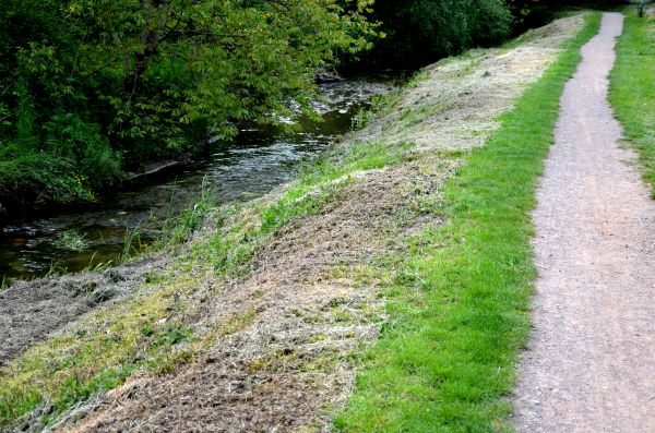 Trail Cutting in Mechanicsburg