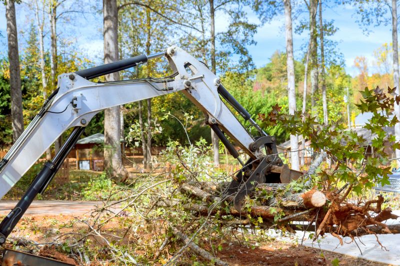 What’s Involved In Professional Land Clearing?