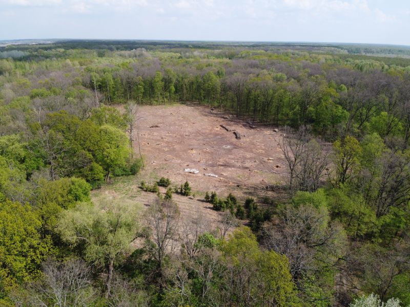 Efficient Land Clearing Process